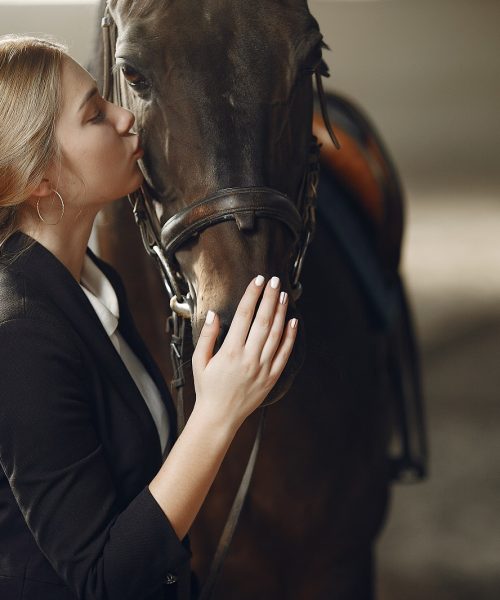 Woman near horse. Rider in a black uniform