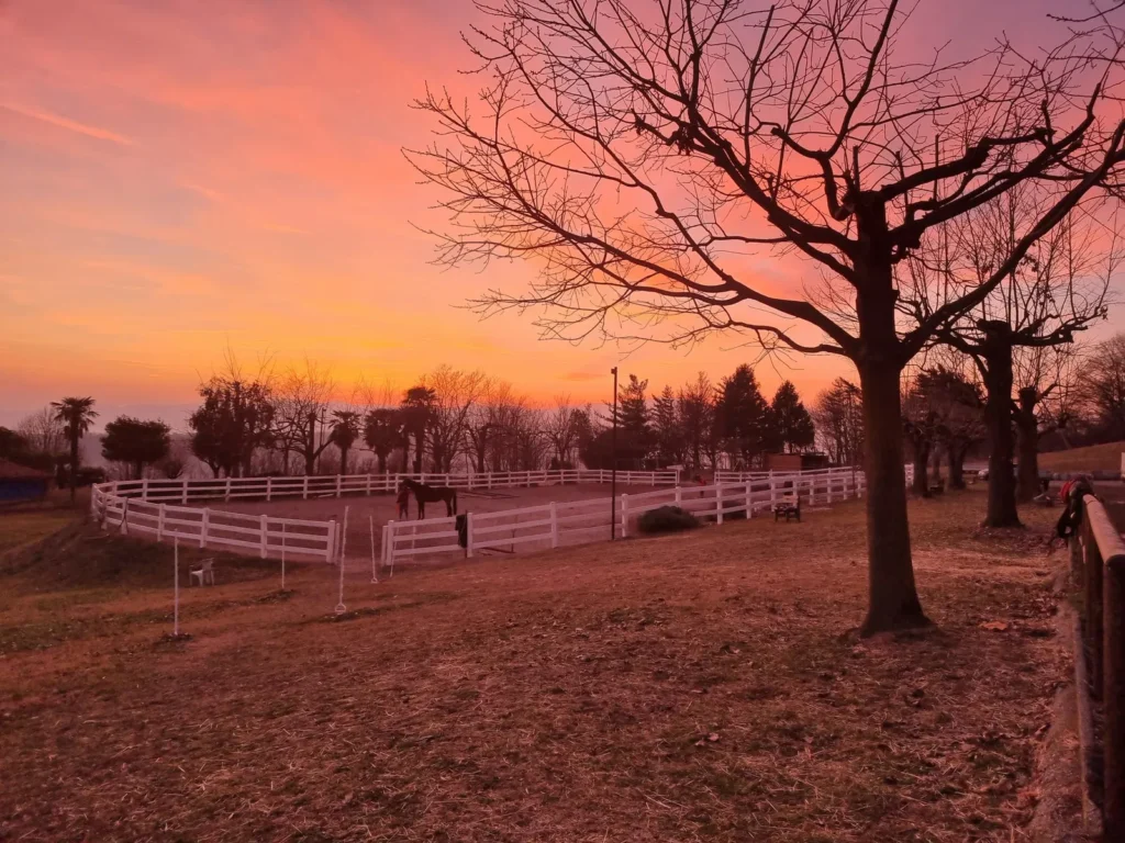 equitazione-le-rose-trevisago