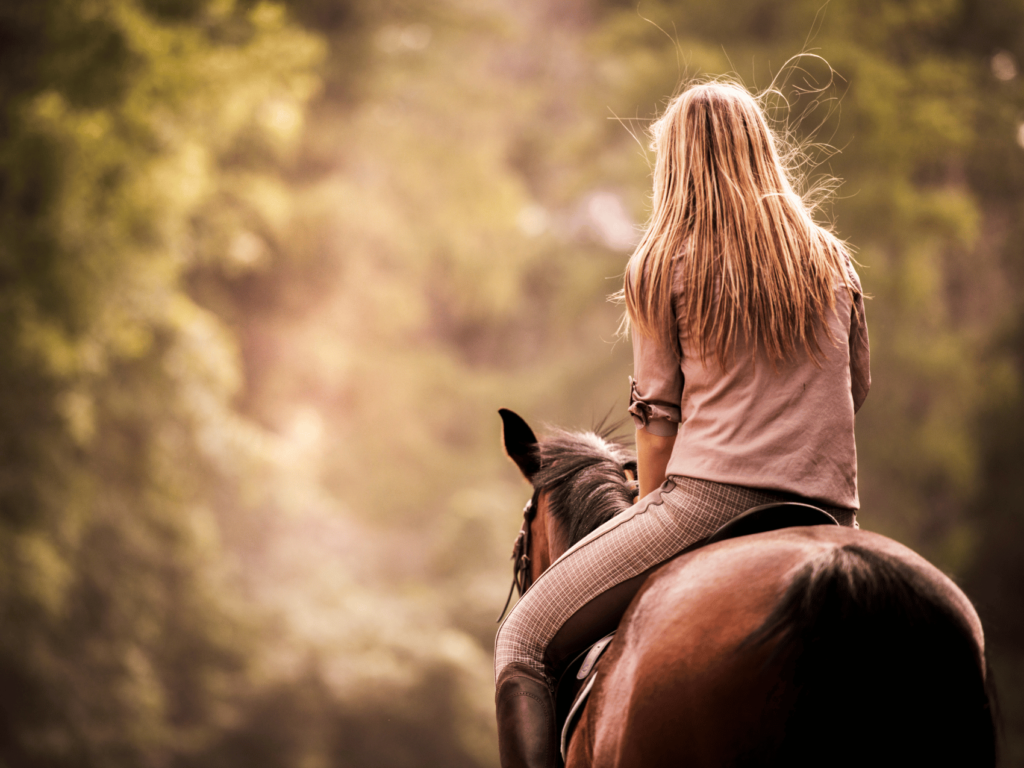 Monta Americana - Le Rose