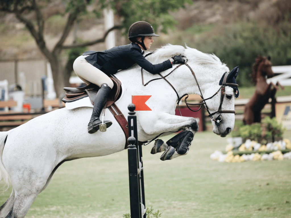 Monta Inglese - Le Rose